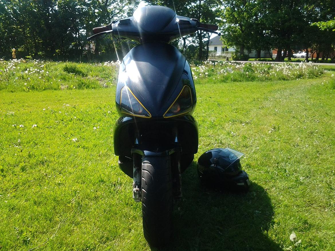 Benelli 491 ( Skrottet ) billede 1