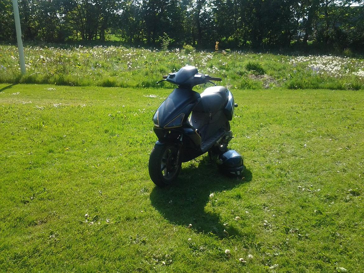 Benelli 491 ( Skrottet ) billede 2