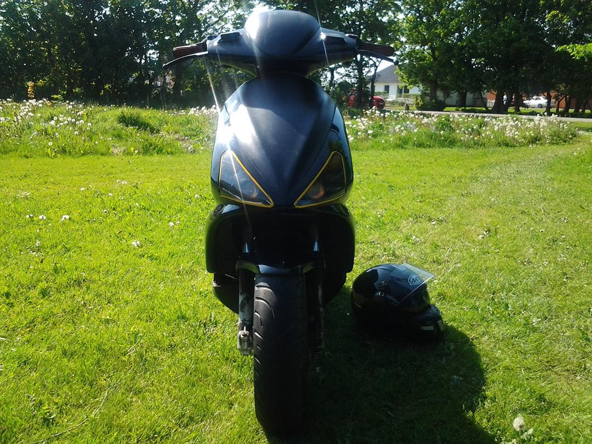 Benelli 491 ( Skrottet ) billede 3