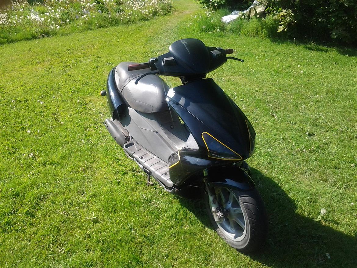 Benelli 491 ( Skrottet ) billede 5