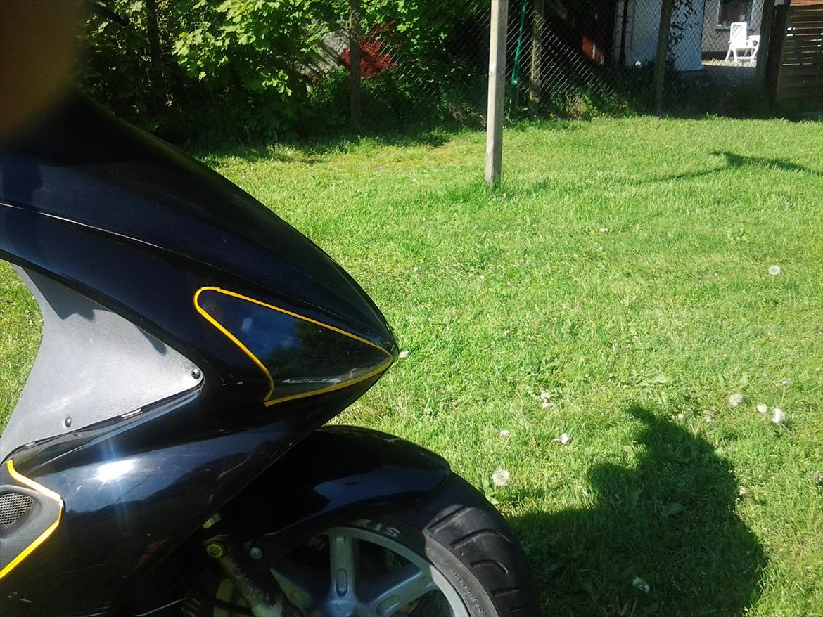 Benelli 491 ( Skrottet ) billede 6