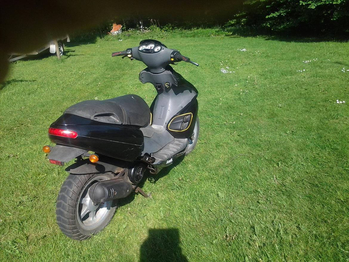 Benelli 491 ( Skrottet ) billede 7