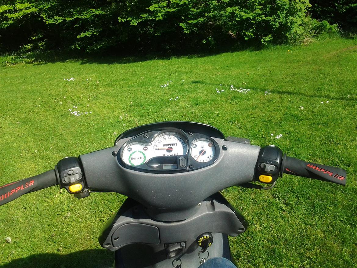 Benelli 491 ( Skrottet ) billede 12
