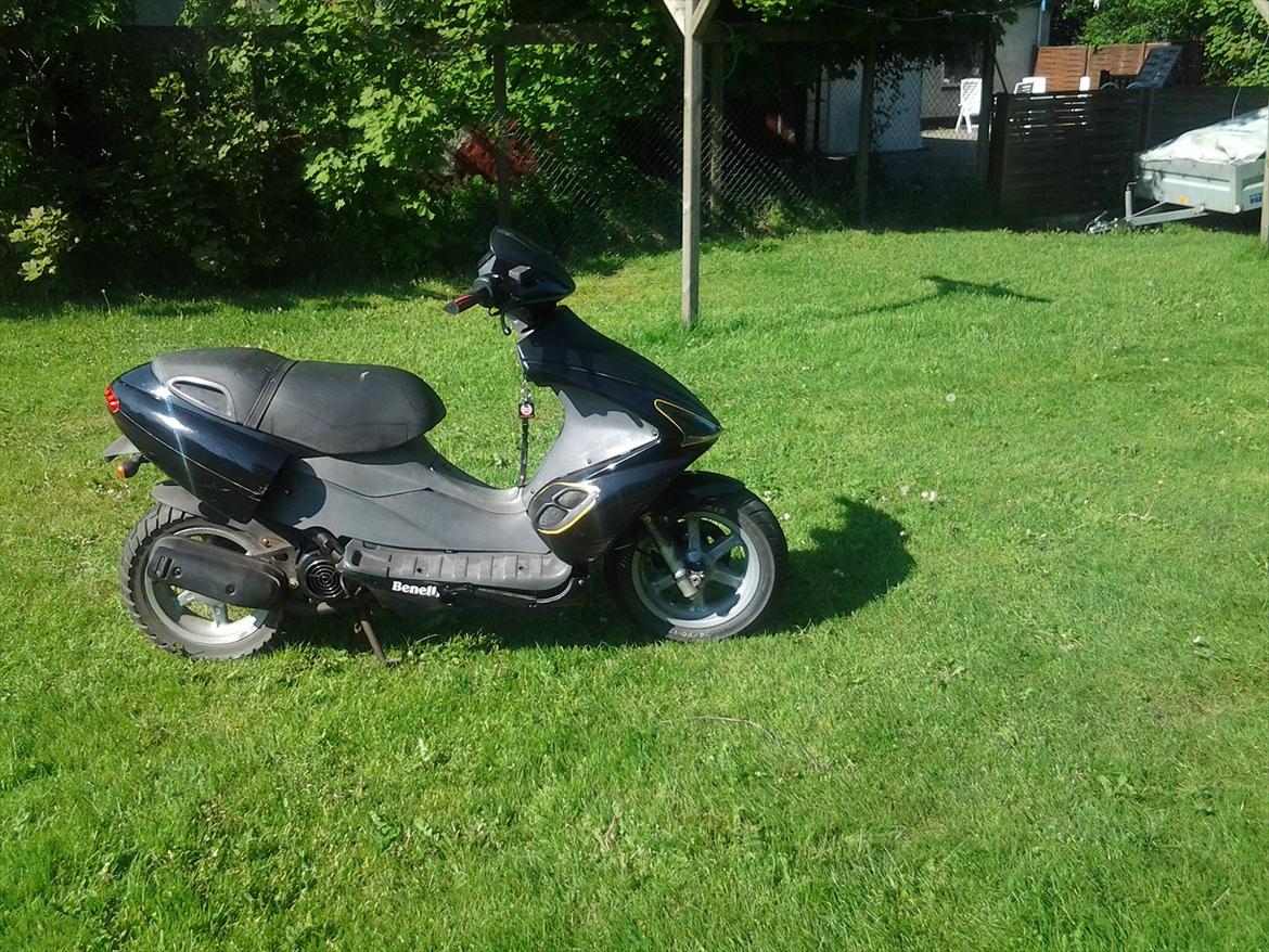 Benelli 491 ( Skrottet ) billede 17