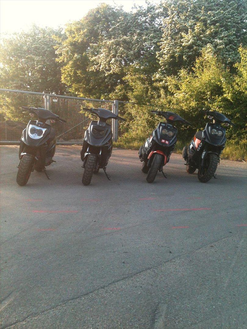 PGO Hot 50 - Carbon - billede 15