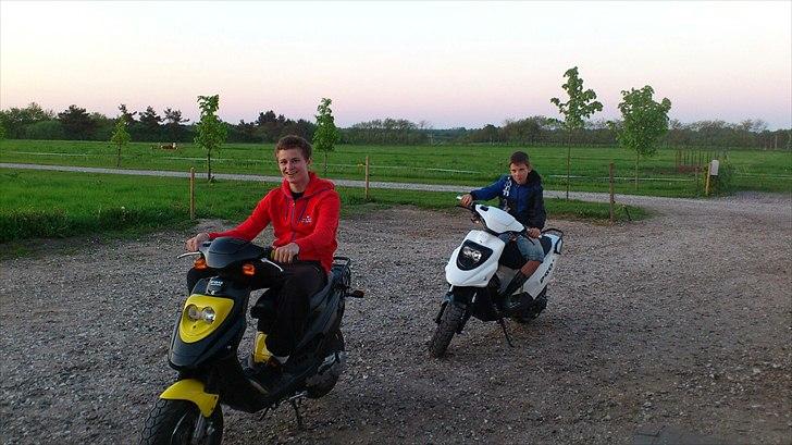 PGO Hot 50 (Brumbazz) billede 16