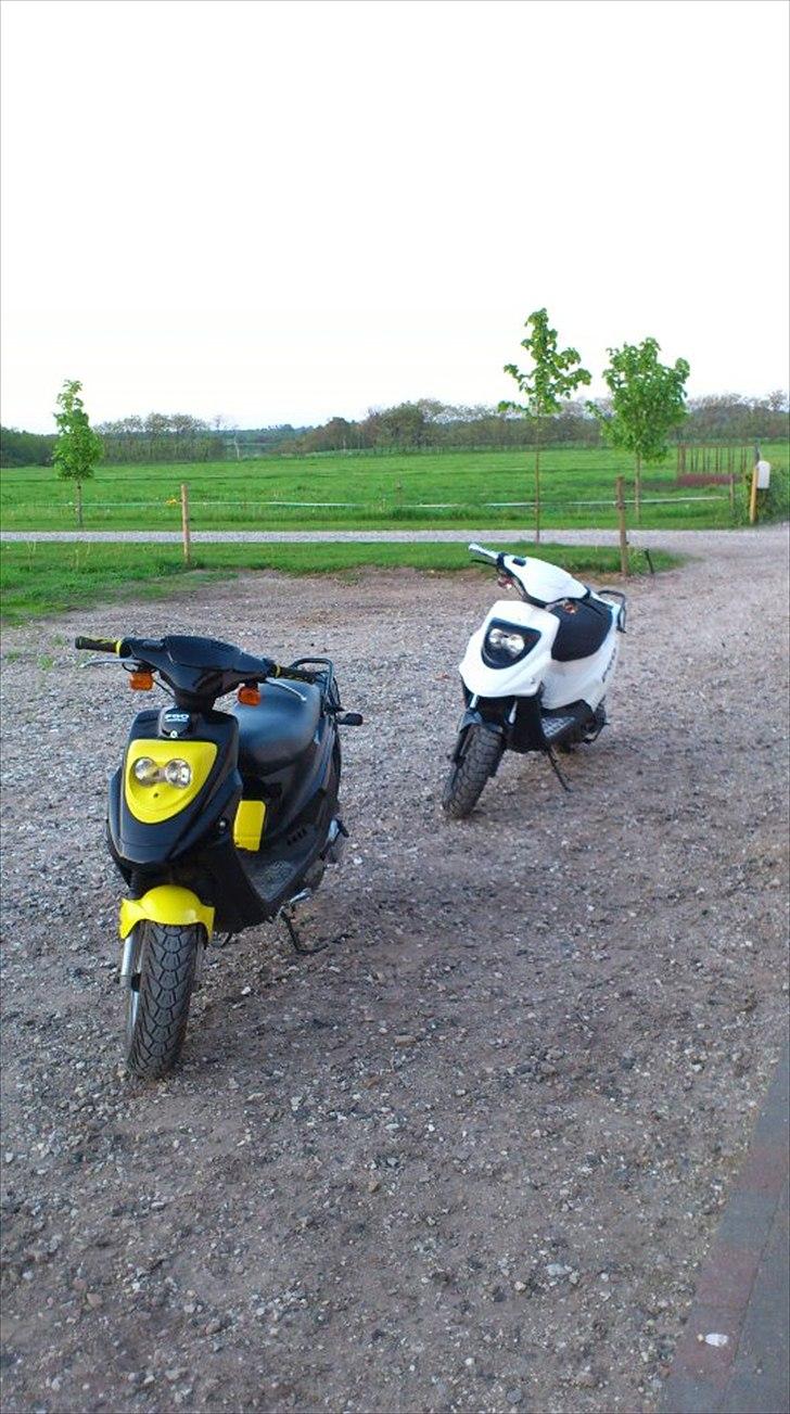 PGO Hot 50 (Brumbazz) billede 17