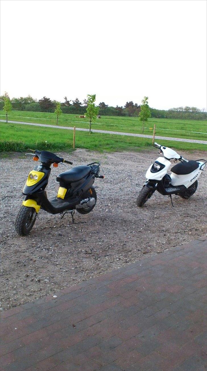 PGO Hot 50 (Brumbazz) billede 18