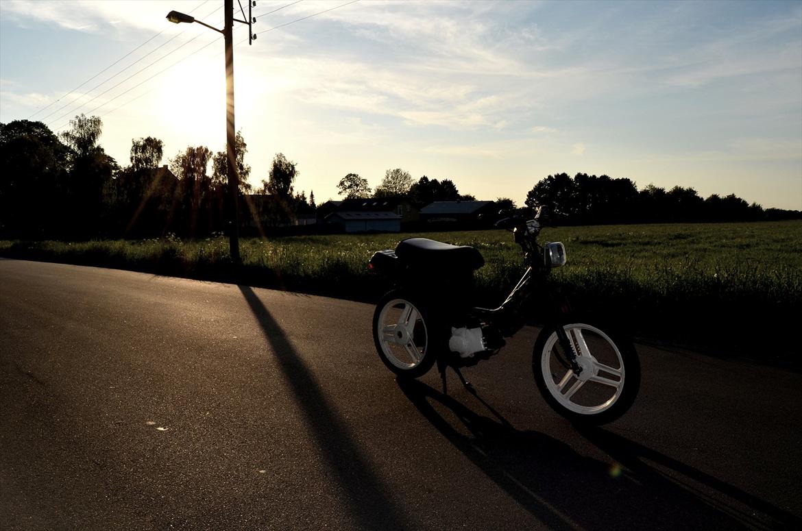 Honda Wallaroo - Kussemagneten billede 1