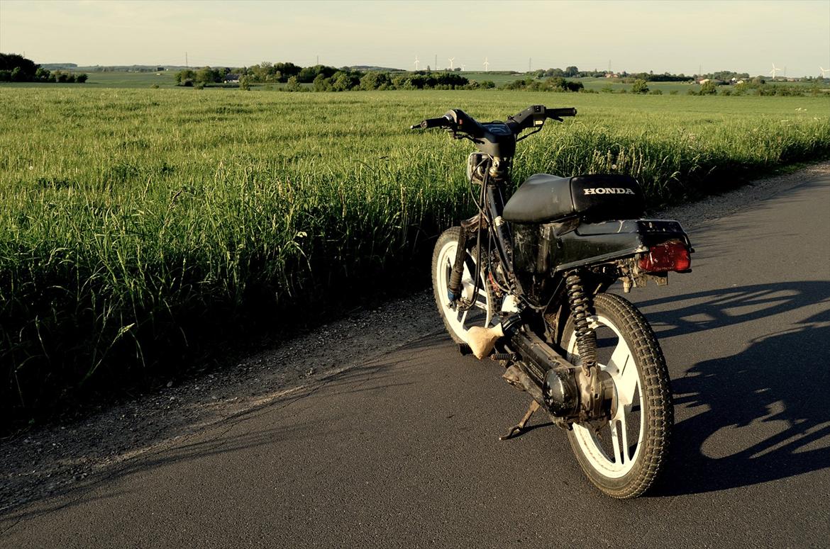Honda Wallaroo - Kussemagneten billede 2
