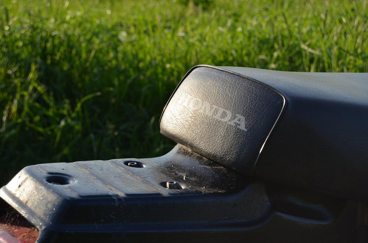 Honda Wallaroo - Kussemagneten billede 3