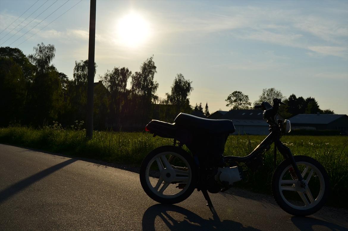 Honda Wallaroo - Kussemagneten billede 4