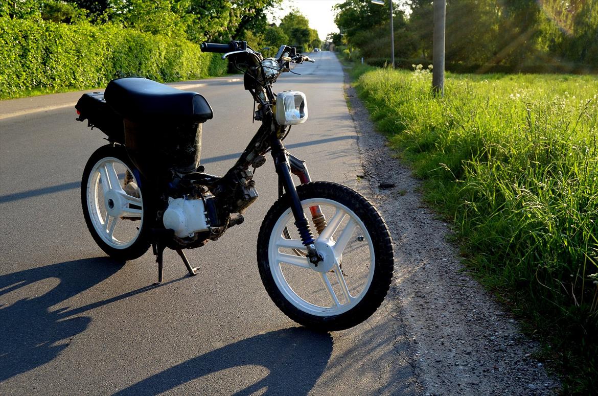 Honda Wallaroo - Kussemagneten billede 5