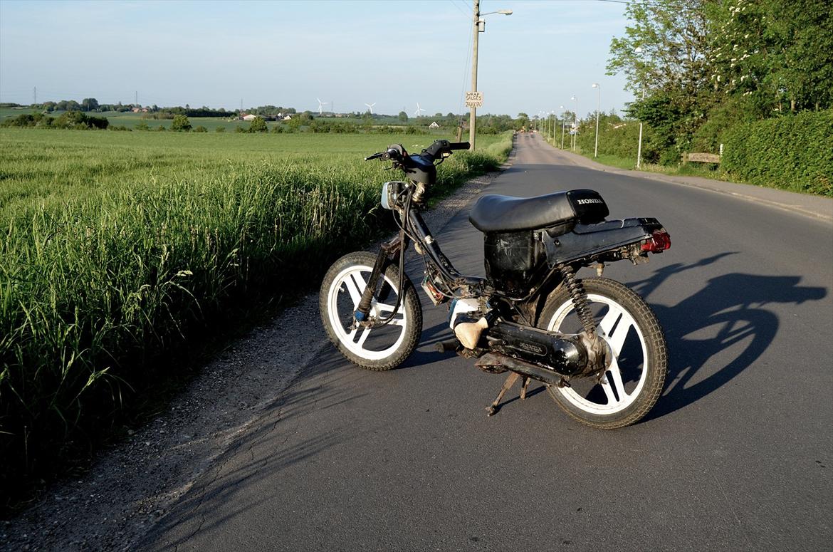 Honda Wallaroo - Kussemagneten billede 8