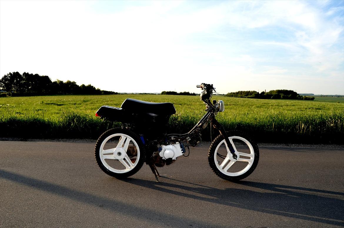 Honda Wallaroo - Kussemagneten billede 10