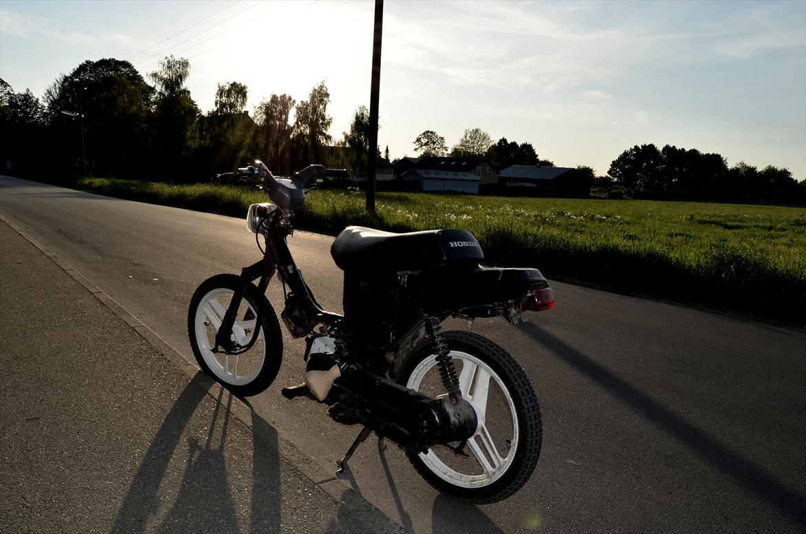 Honda Wallaroo - Kussemagneten billede 12