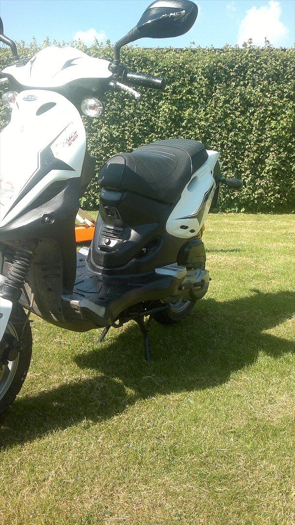 PGO pmx 50 pmps SOLGT billede 9