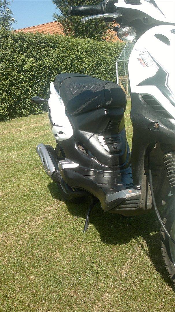 PGO pmx 50 pmps SOLGT billede 10