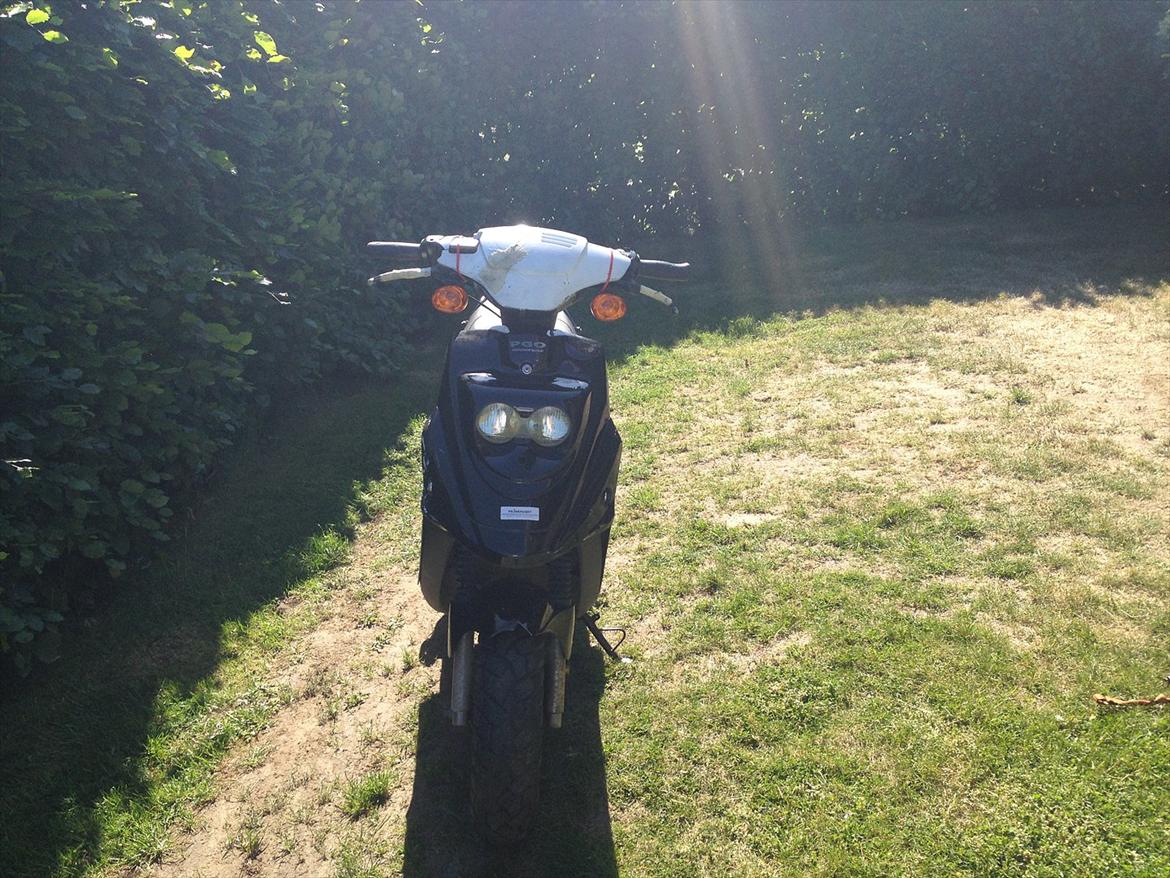 PGO Hot 50 billede 3