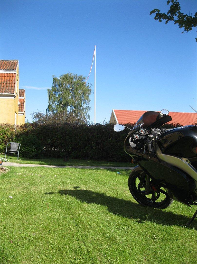 Aprilia RS50 LC DD billede 4