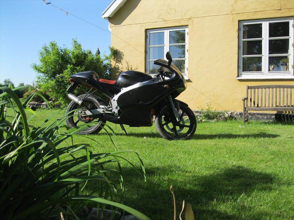 Aprilia RS50 LC DD billede 5