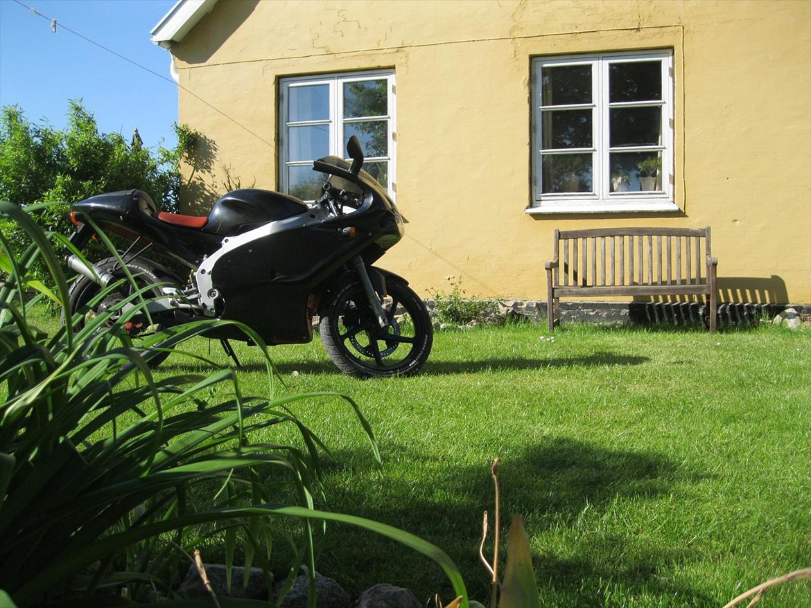 Aprilia RS50 LC DD billede 6