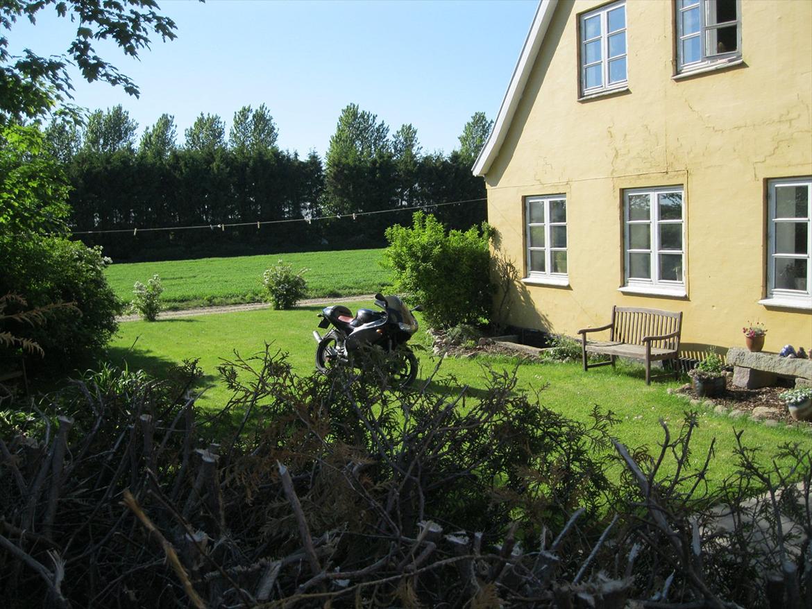 Aprilia RS50 LC DD billede 7