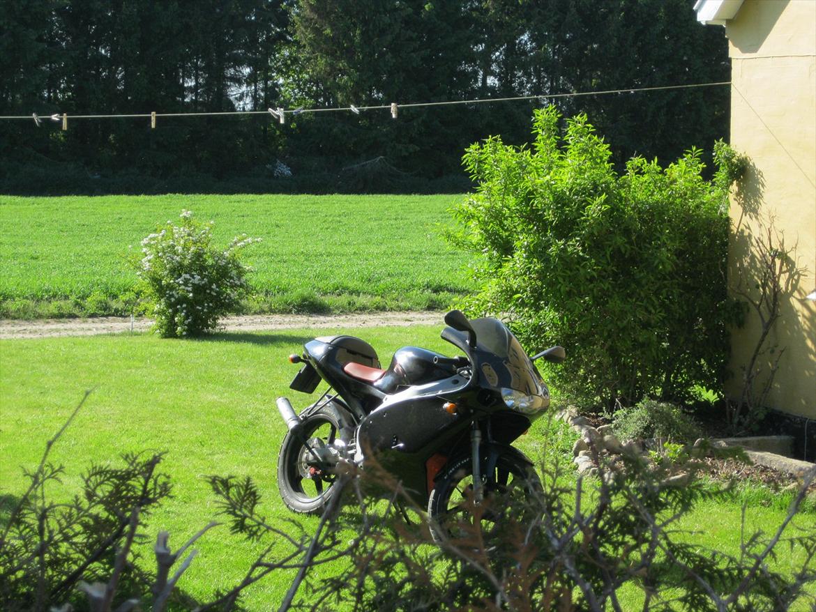 Aprilia RS50 LC DD billede 8