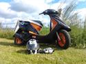 Honda Sfx " hverdagsged "