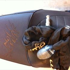 PGO PMX Sport No Fear