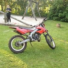 Gilera Rcr 50