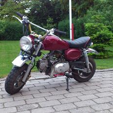 Skyteam monkey SOLGT