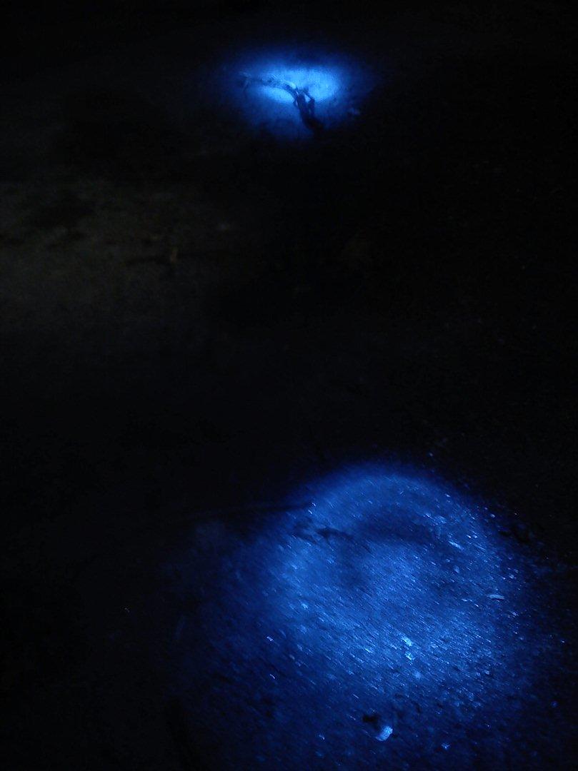 PGO Hot 50 billede 4