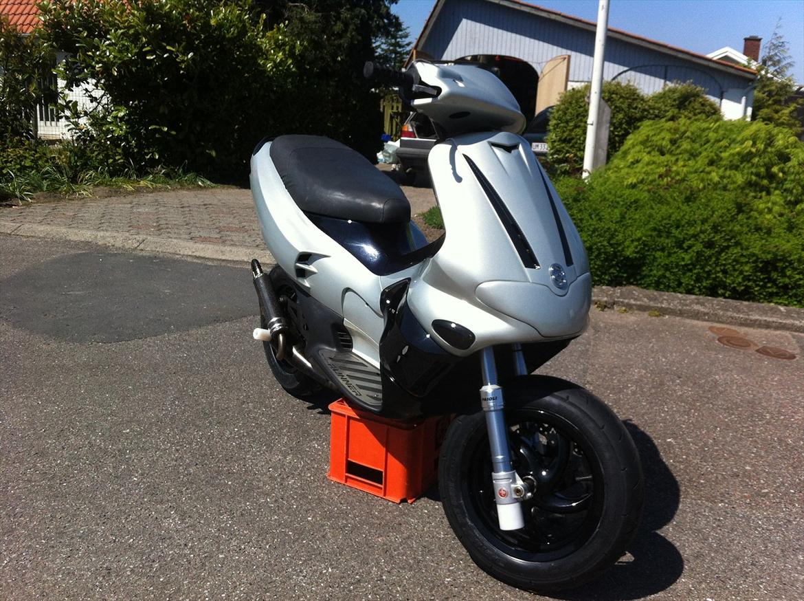 Gilera Runner Ts  billede 14