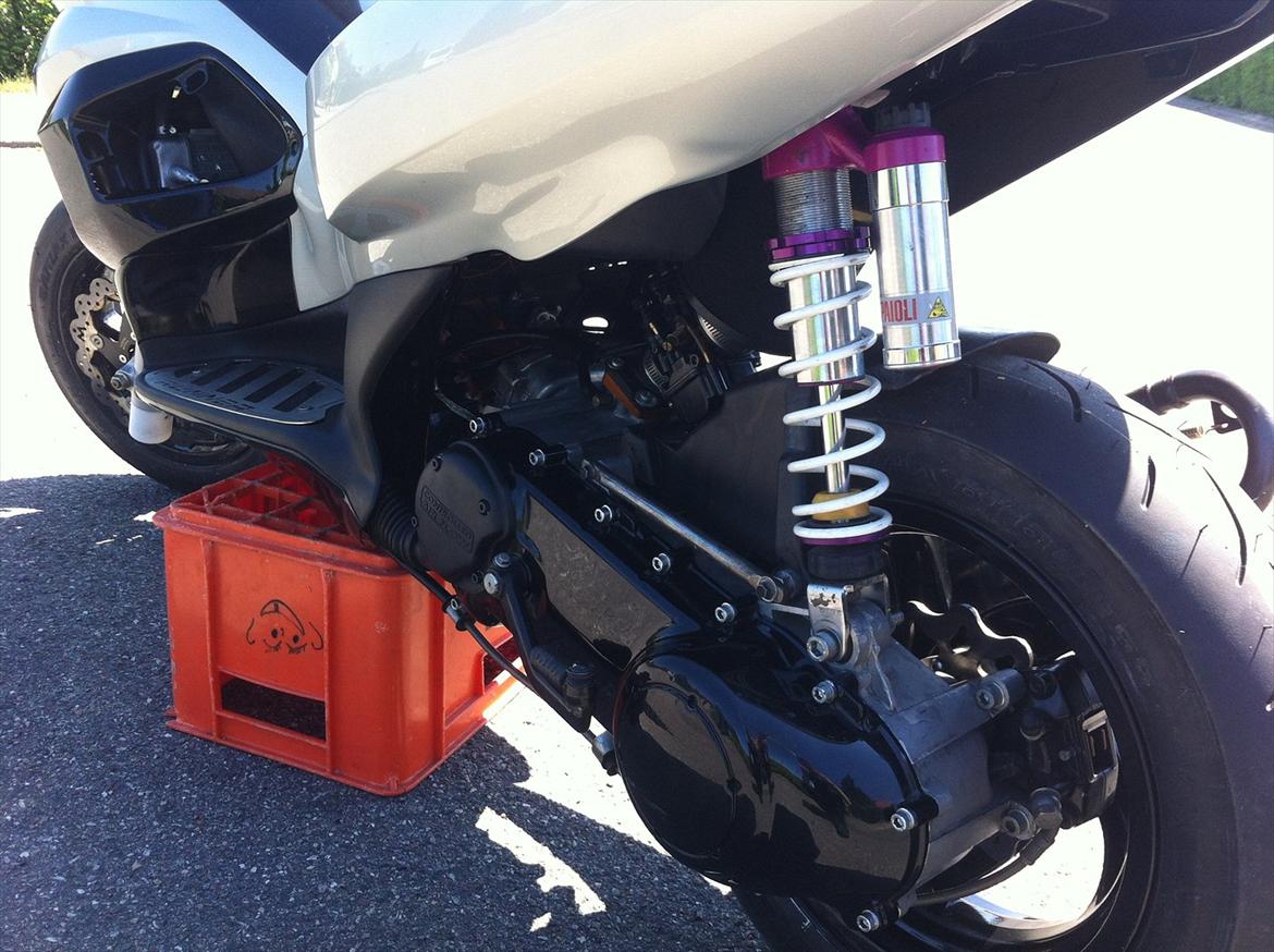 Gilera Runner Ts  billede 15