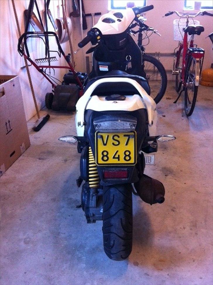 PGO PMX Sport No Fear billede 4