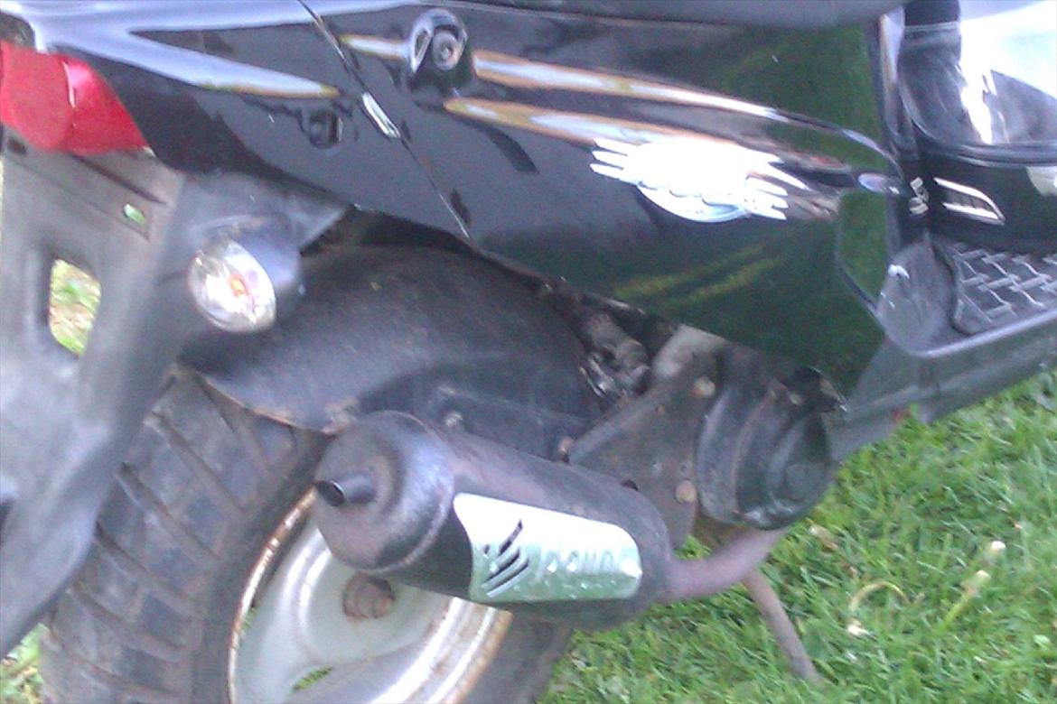 PGO Hot 50  billede 8