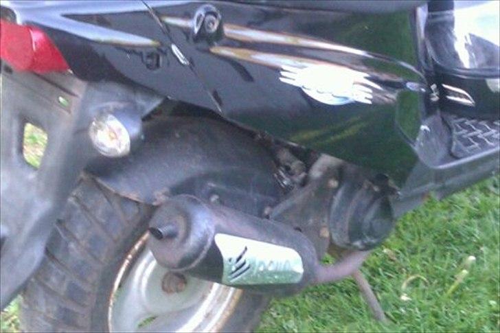 PGO Hot 50  billede 13