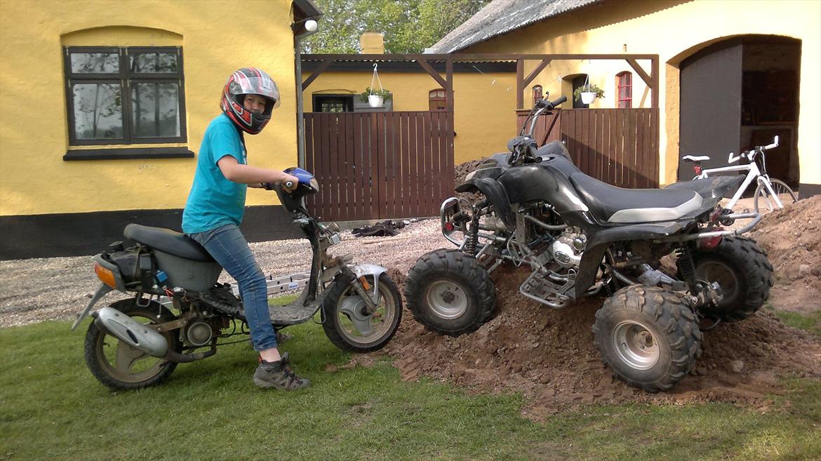 Adly silver fox - lige kommet hjem og samlet lidt på den og har sat atven fast på maven  billede 7