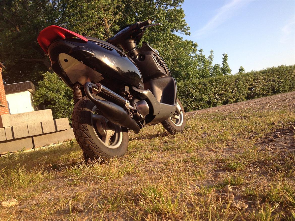 Aprilia Sonic billede 1