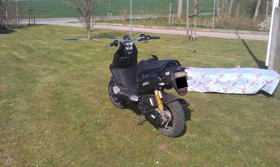 PGO PMX Naked Carbon billede 5