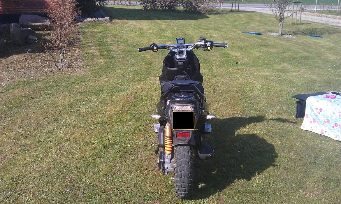 PGO PMX Naked Carbon billede 6