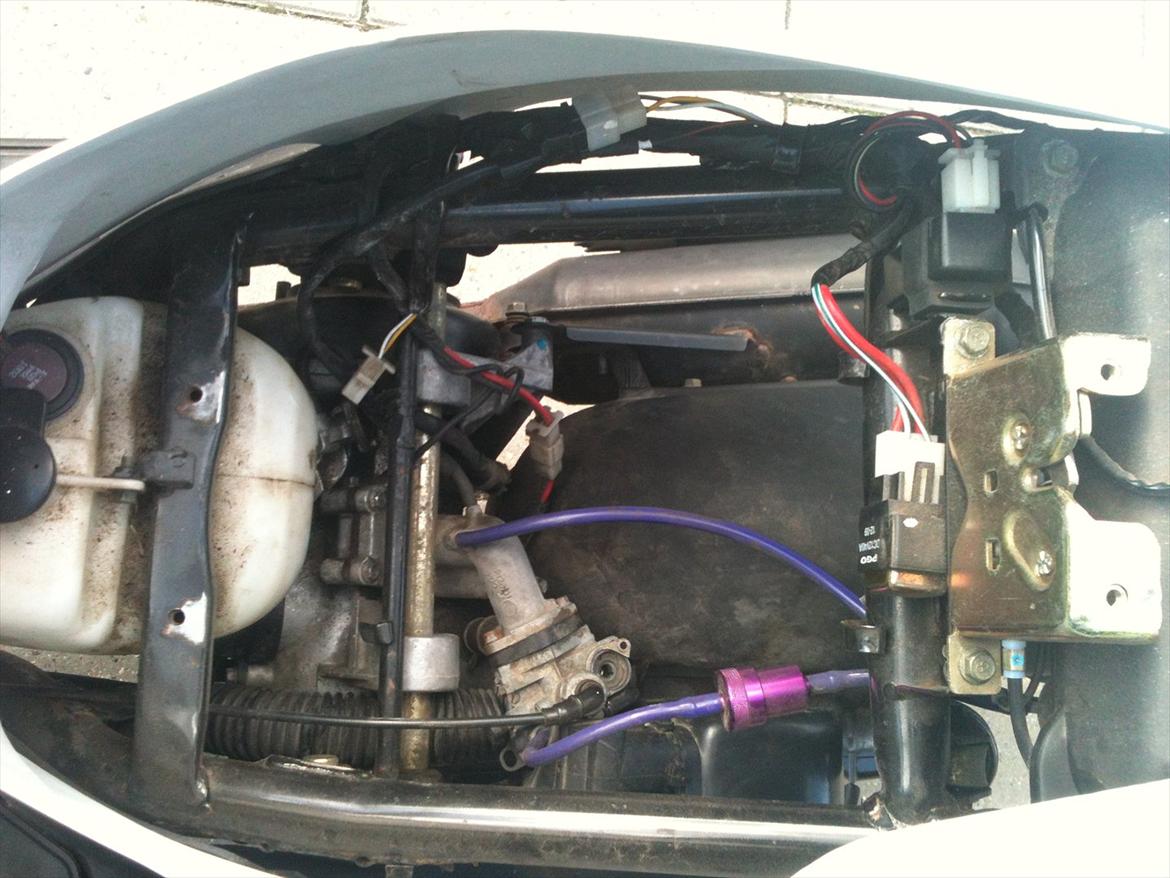 PGO Hot 50 billede 14