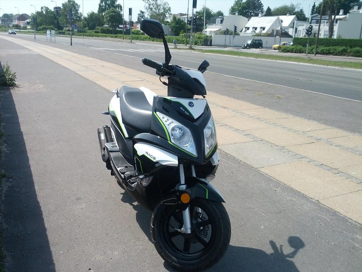 VGA grido billede 10