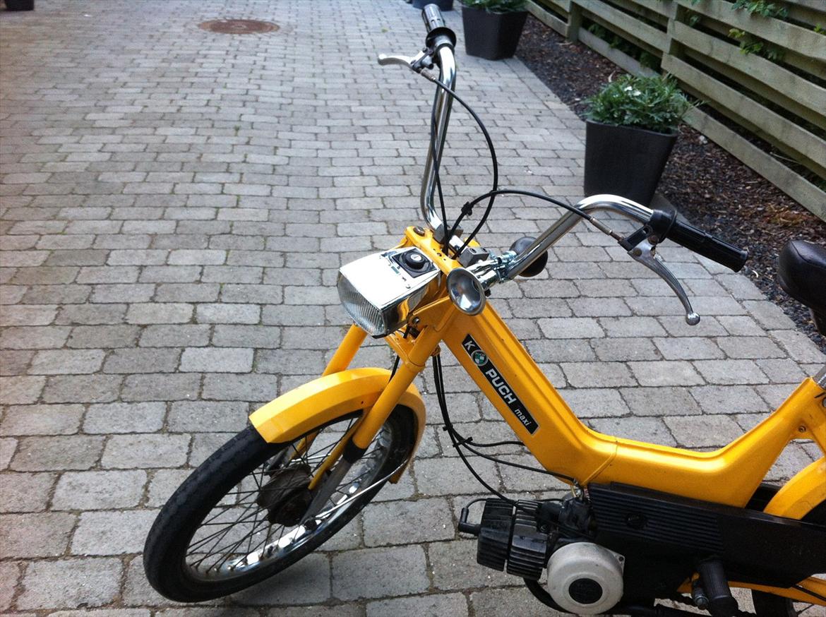 Puch Maxi K billede 5