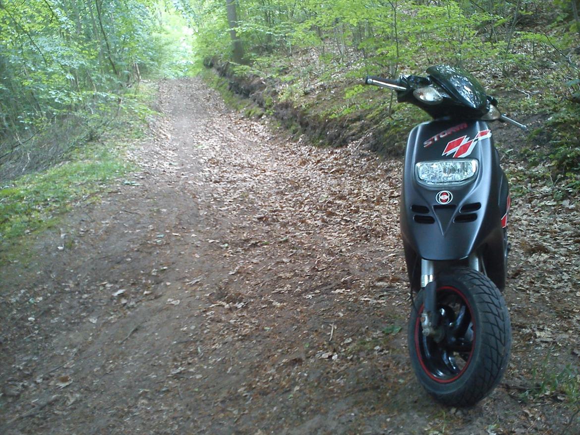 Gilera Storm billede 7