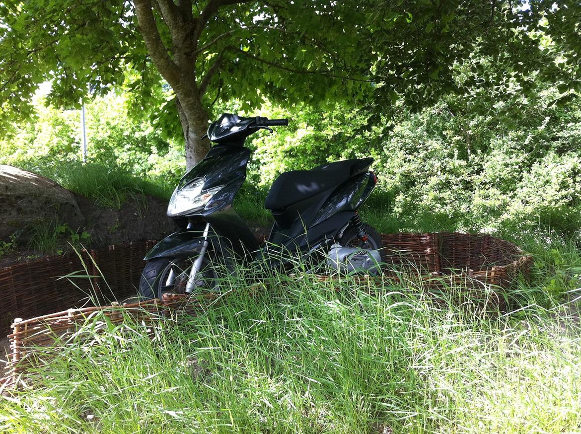 Yamaha Jog R - CARBON EDITION billede 2