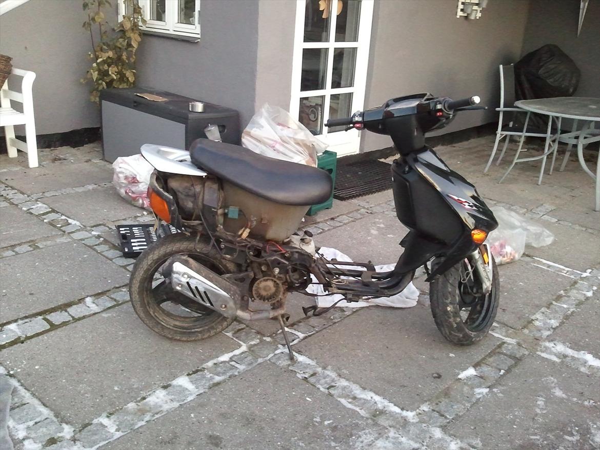 Adly Baboon billede 5