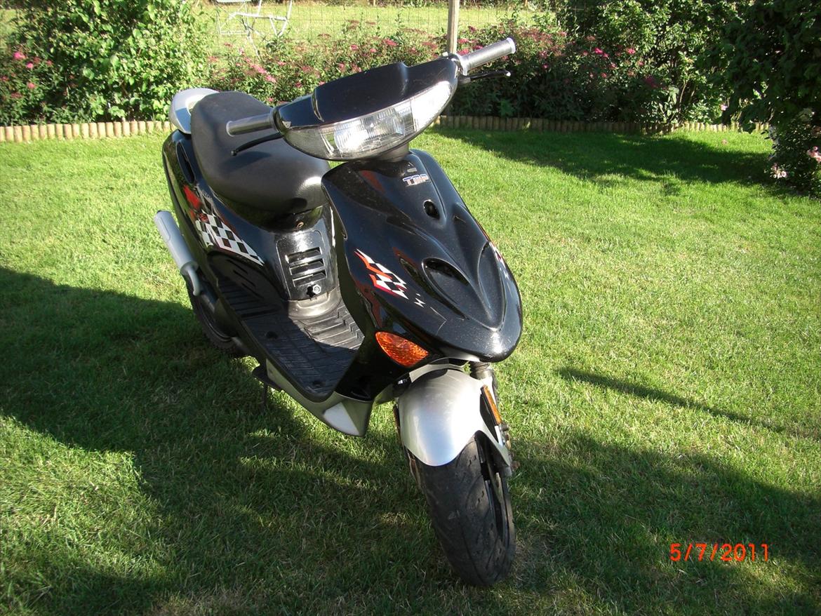 Adly Baboon billede 2