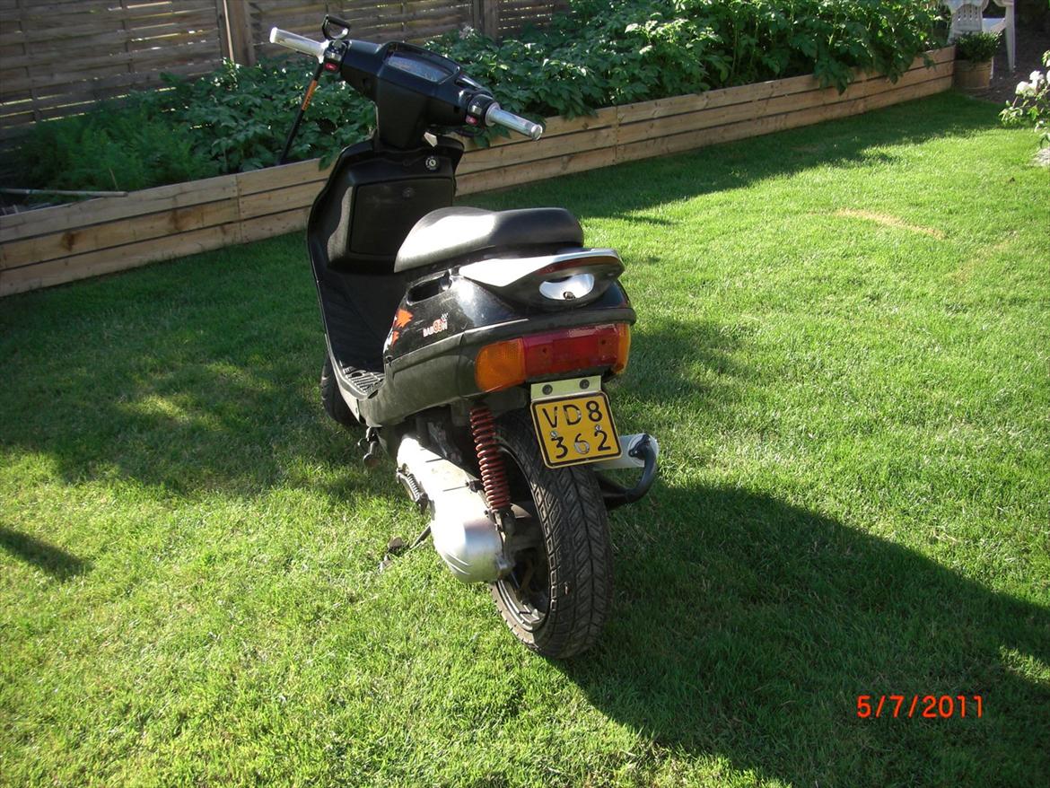 Adly Baboon billede 4